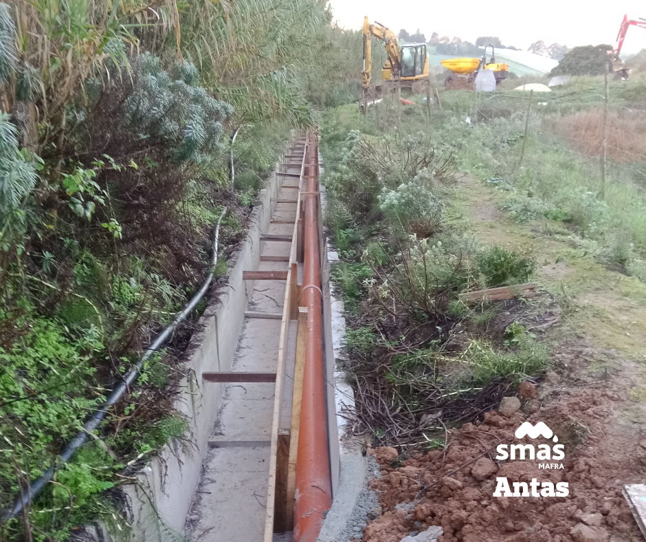 ANTAS (5)