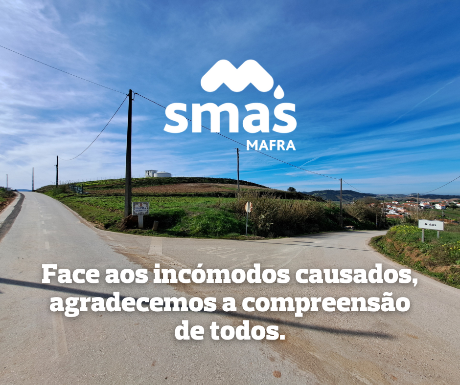 ANTAS (6)